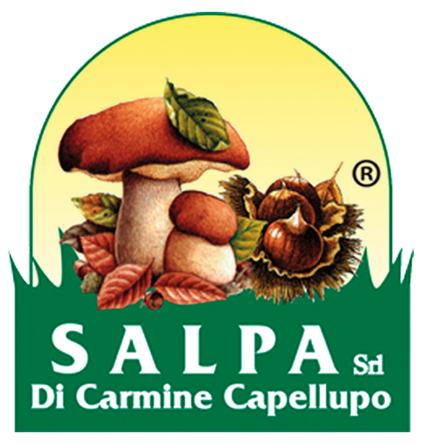 Salpa