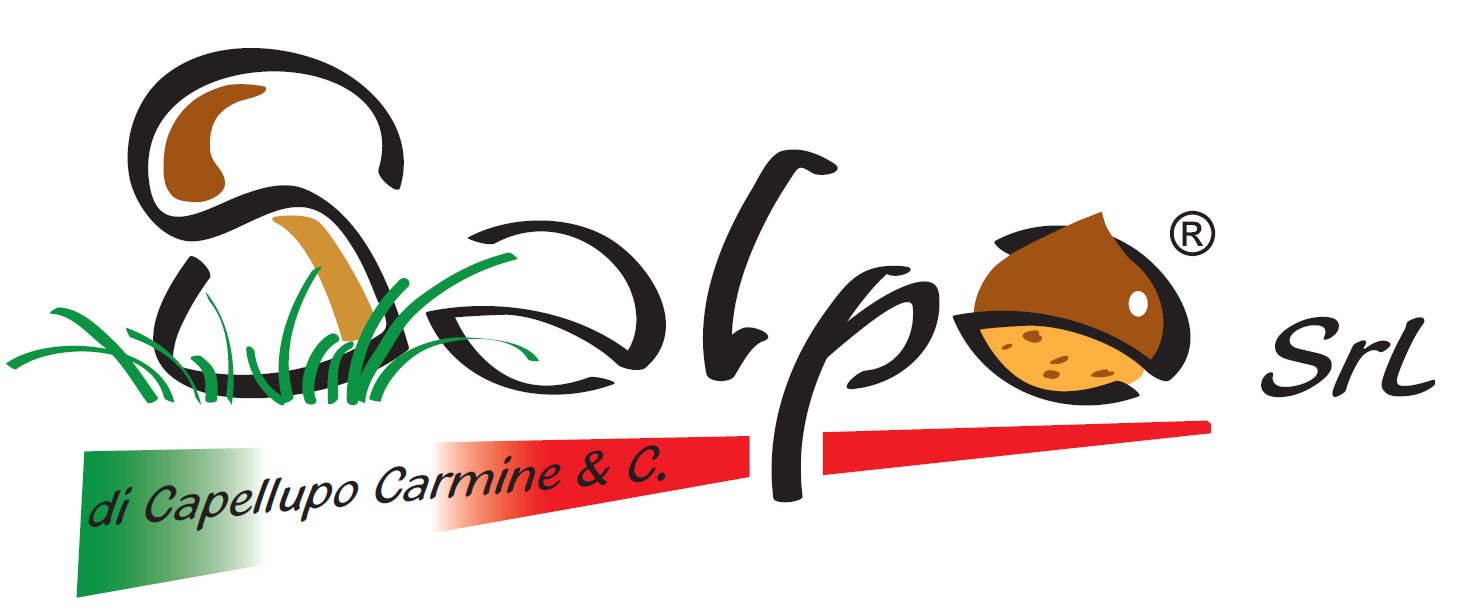 Logo Salpa
