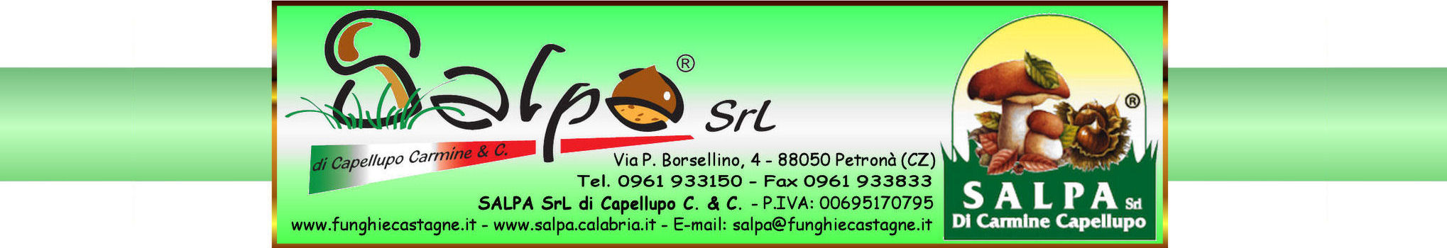 Logo intesatzione SALPA