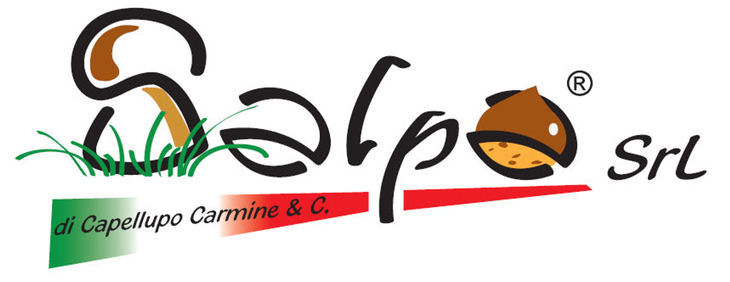Logo salpa